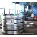 Alloy Steel Ring/Hollow Forging